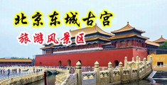 操美女骚毛逼B中国北京-东城古宫旅游风景区