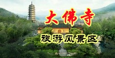 鸡巴操女人逼网站中国浙江-新昌大佛寺旅游风景区